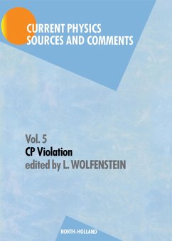 Cover CP Violation (eBook, PDF)