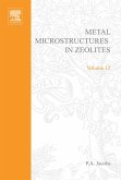 Metal Microstructures in Zeolites (eBook, PDF)