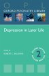 Depression in Later Life (eBook, ePUB) - Bild 1