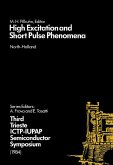 High Excitation and Short Pulse Phenomena (eBook, PDF)