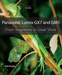 Panasonic Lumix GX7 and GM1 (eBook, ePUB) - Knight, Rob