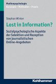 Lost in Information? (eBook, PDF)