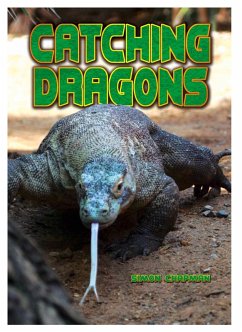 Cover Catching Dragons (eBook, ePUB)