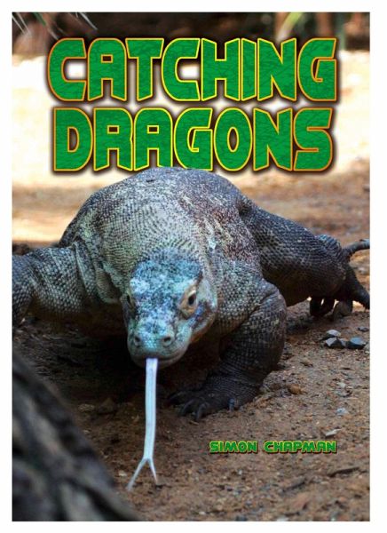 Catching Dragons (eBook, ePUB)