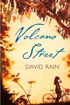 Volcano Street - Rain, David