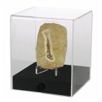Acryl-Vitrine &quote;cube&quote; 12 x 12 x 14 cm