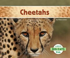 Cover Cheetahs