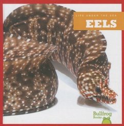 Eels - Meister, Cari