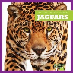 Jaguars - Schuh, Mari C