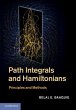 Path Integrals and Hamiltonians - Bild 1