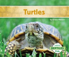 Turtles - Hansen, Grace