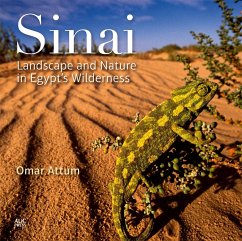 Sinai - Attum, Omar