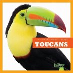 Toucans