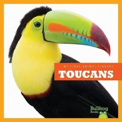 Toucans - Schuh, Mari C