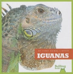 Iguanas - Schuh, Mari C