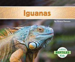 Iguanas - Hansen, Grace