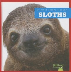 Sloths - Schuh, Mari C