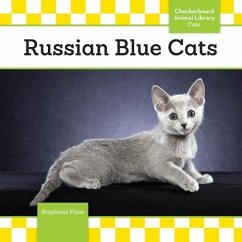 Russian Blue Cats - Finne, Stephanie
