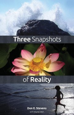 Three Snapshots of Reality - Stevens, Don E.