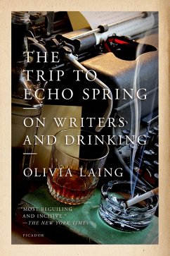 Trip to Echo Spring - Laing, Olivia