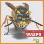 Wasps