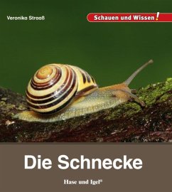 Die Schnecke - Straaß, Veronika