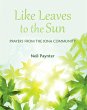 Like Leaves to the Sun (eBook, ePUB) - Bild 1