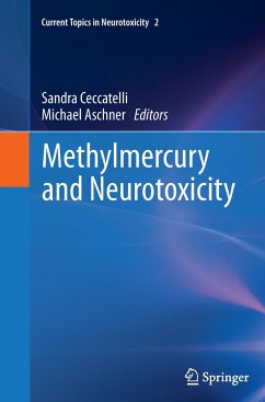 Methylmercury and Neurotoxicity