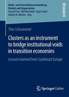 Clusters as an instrument to bridge institutional voids in transition economies - Schrammel, Tine