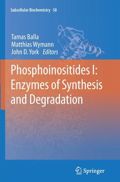 Phosphoinositides I: Enzymes of Synthesis and Degradation