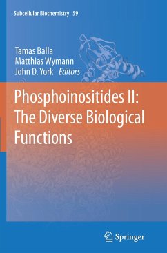 Phosphoinositides II: The Diverse Biological Functions