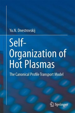 Cover Self-Organization of Hot Plasmas
