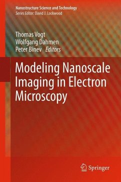 Modeling Nanoscale Imaging in Electron Microscopy