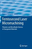Femtosecond Laser Micromachining