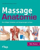 Massage-Anatomie