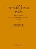 The Vienna Epigrams Papyrus