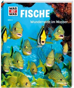 Fische / Was ist was Bd.41 - Schirawski, Nicolai