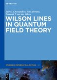 Wilson Lines in Quantum Field Theory