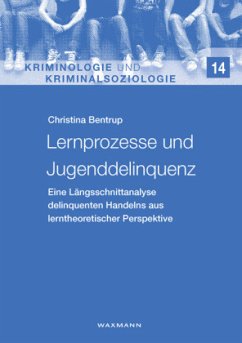 Lernprozesse und Jugenddelinquenz - Bentrup, Christina