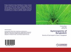Gymnosperms of Bangladesh