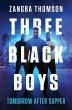 Three Black Boys - Bild 1