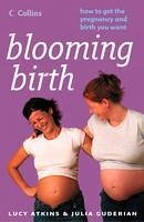 Blooming Birth (eBook, ePUB) - Atkins, Lucy; Guderian, Julia