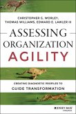 Assessing Organization Agility (eBook, ePUB)