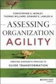 Assessing Organization Agility (eBook, PDF)