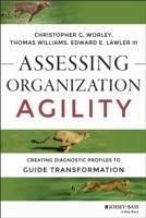 Cover Assessing Organization Agility (eBook, PDF)
