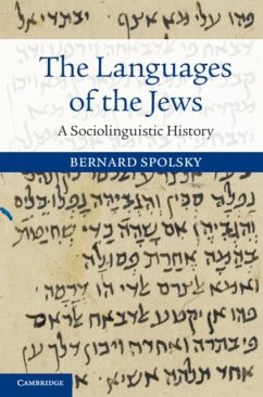 Languages of the Jews (eBook, PDF) - Spolsky, Bernard