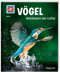 Vögel / Was ist was Bd.40 - Werdes, Alexandra