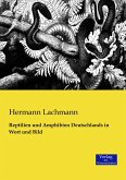 Reptilien und Amphibien Deutschlands in Wort und Bild Reptilien und Amphibien Deutschlands in Wort und Bild