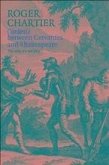 Cardenio between Cervantes and Shakespeare (eBook, ePUB)
