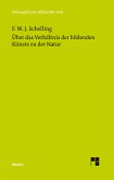 Über das Verhältnis der bildenden Künste zu der Natur (eBook, PDF)